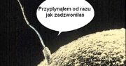 Sex i komórka to zgrana para, czyli „spice up your life”