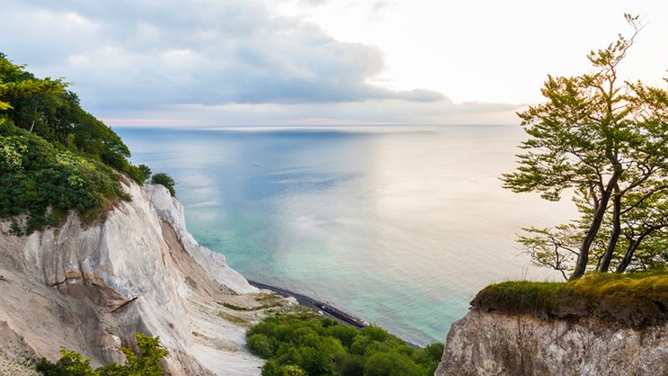 Morze Bałtyckie. Charakterystyka, zasolenie i zanieczyszczenie