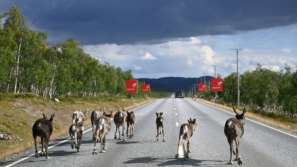 Norwegia zamyka swoją granicę z Rosją 