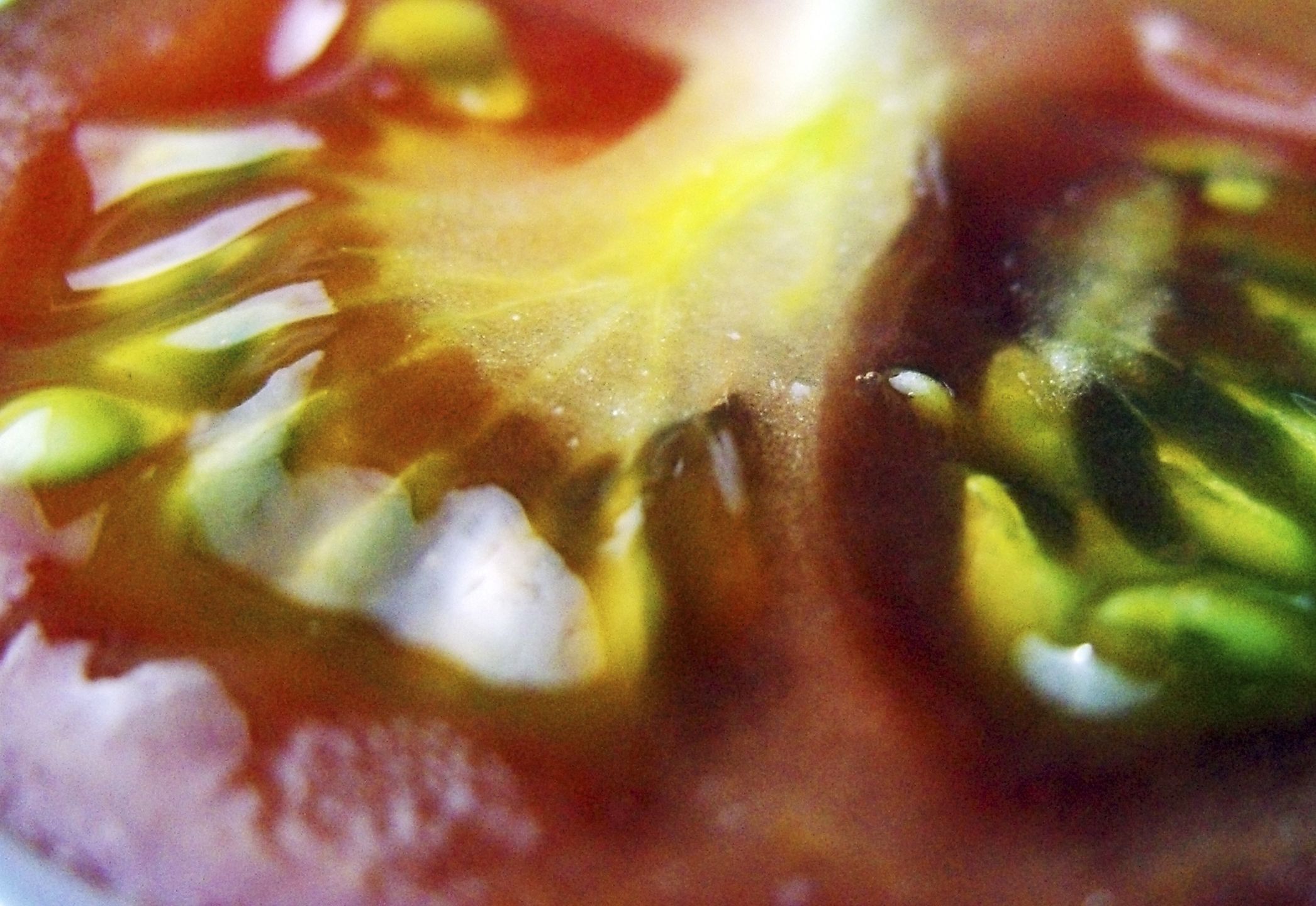 Close up of a Tomato
Richard Newstead