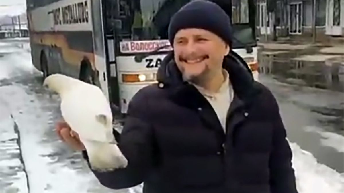 Na ręce ukraińskiego duchownego usiadła biała gołębica