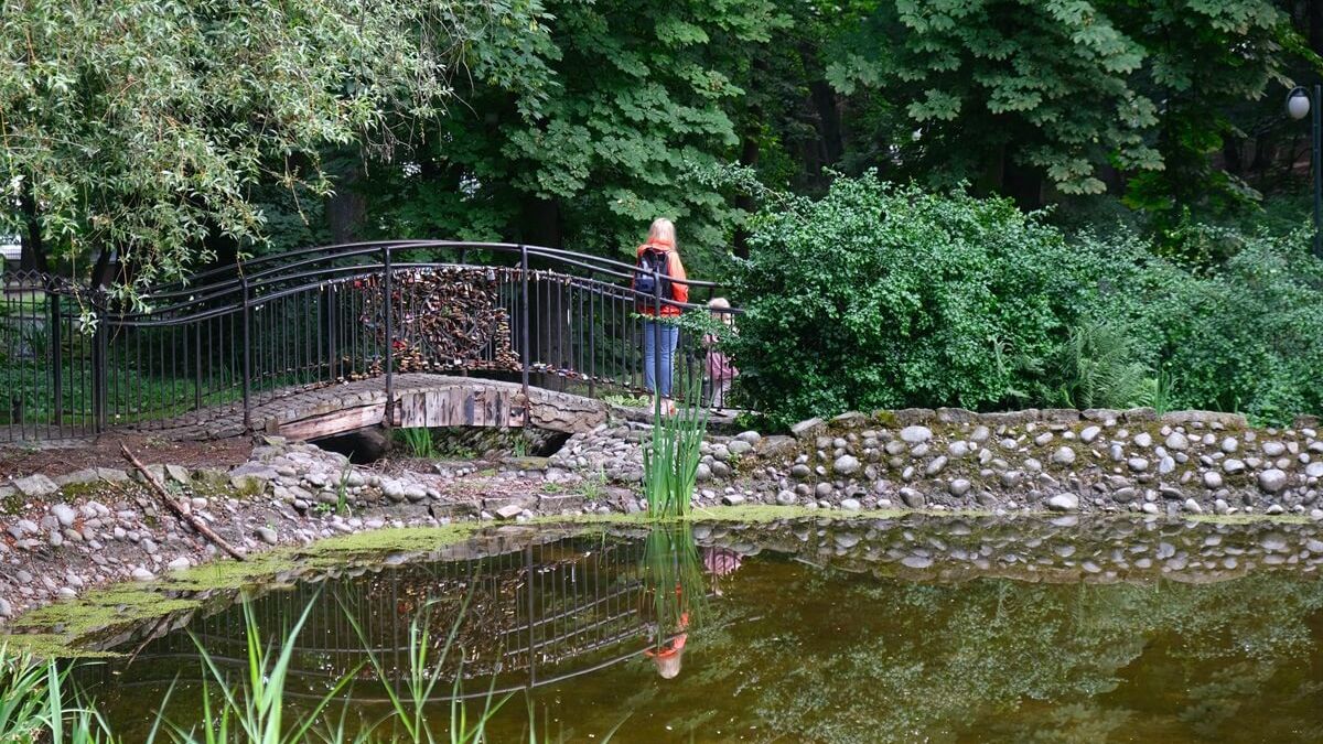 Zaniedbany staw górny w Ogrodzie Saskim