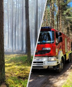 Pożar w Borach Tucholskich. Strażacy walczą z ogniem