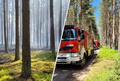 Pożar w Borach Tucholskich. Strażacy walczą z ogniem