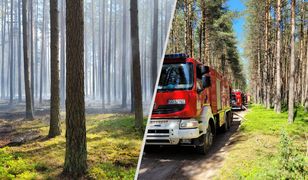 Pożar w Borach Tucholskich. Turyści muszą opuścić park narodowy