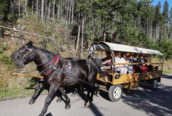 Koniec z bryczkami na Morskie Oko? "Rozwiązanie przynajmniej hybrydowe"