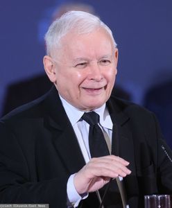 PiS ma powody do zadowolenia. Najnowszy sondaż dla WP
