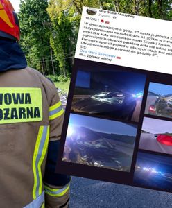 Zderzenie pojazdu z łosiem na autostradzie A1 w Łódzkiem. Nie żyje 34-latek