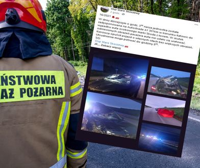 Zderzenie pojazdu z łosiem na autostradzie A1 w Łódzkiem. Nie żyje 34-latek