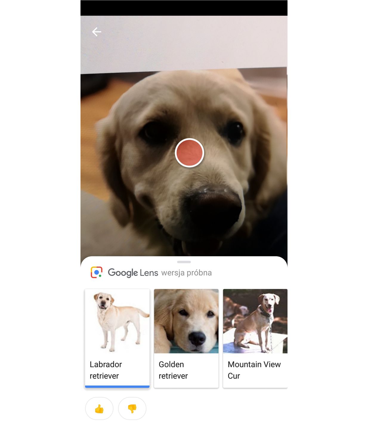 Google Lens wreszcie jako osobna aplikacja. Nie działa idealnie, ale widzę sporo potencjalnych zastosowań 5
