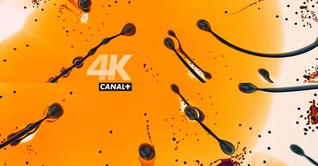 Rusza CANAL+ 4K Ultra HD - telewizja w ultrawysokiej rozdzielczości