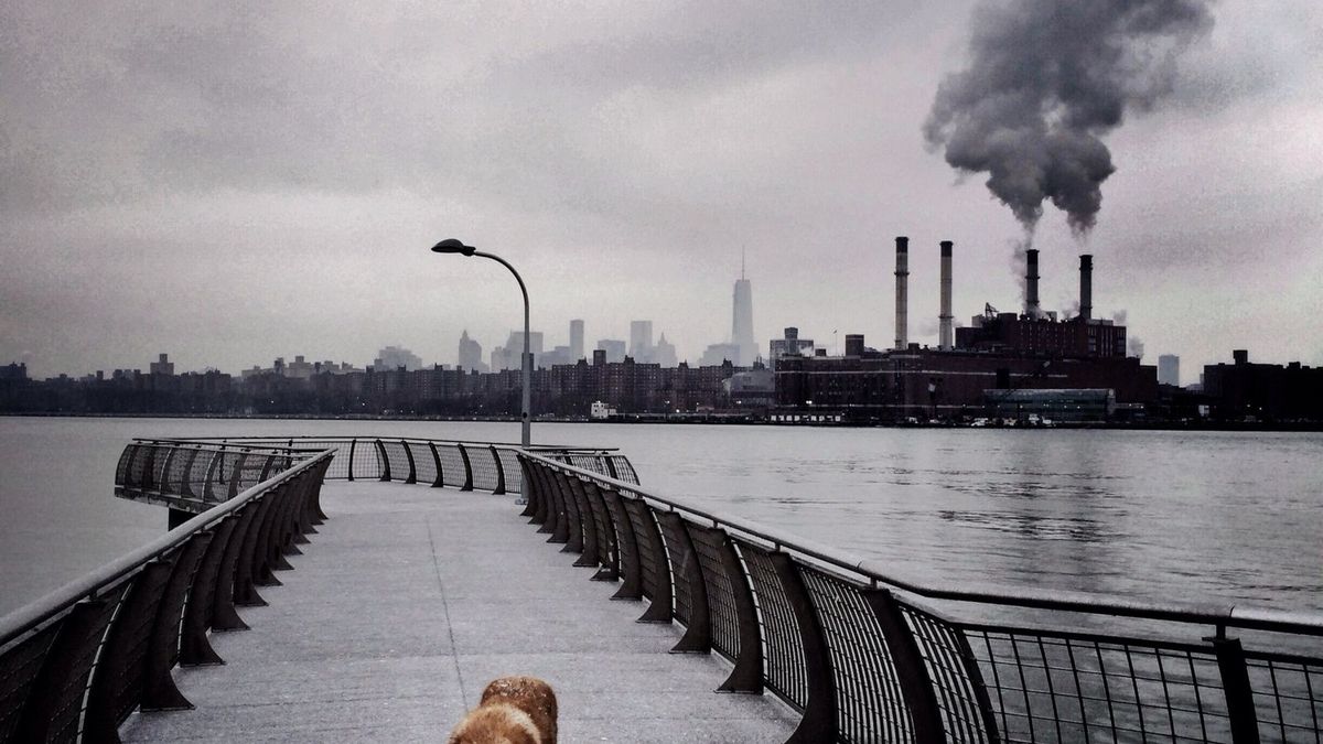 The Mobile Photo Book 2014 - najlepsze zdjęcia mobilne w jednym albumie 1