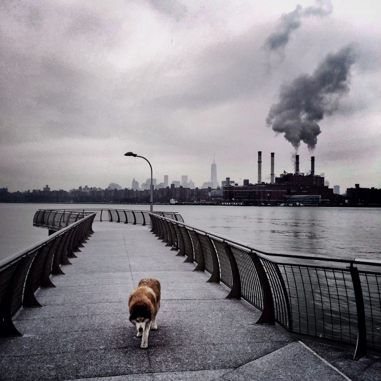 Pierre Le Govic wydaje się być pierwszym kuratorem i wydawcą albumów fotograficznych, który docenił i poważnie potraktował fotografie z serwisu Instagram.