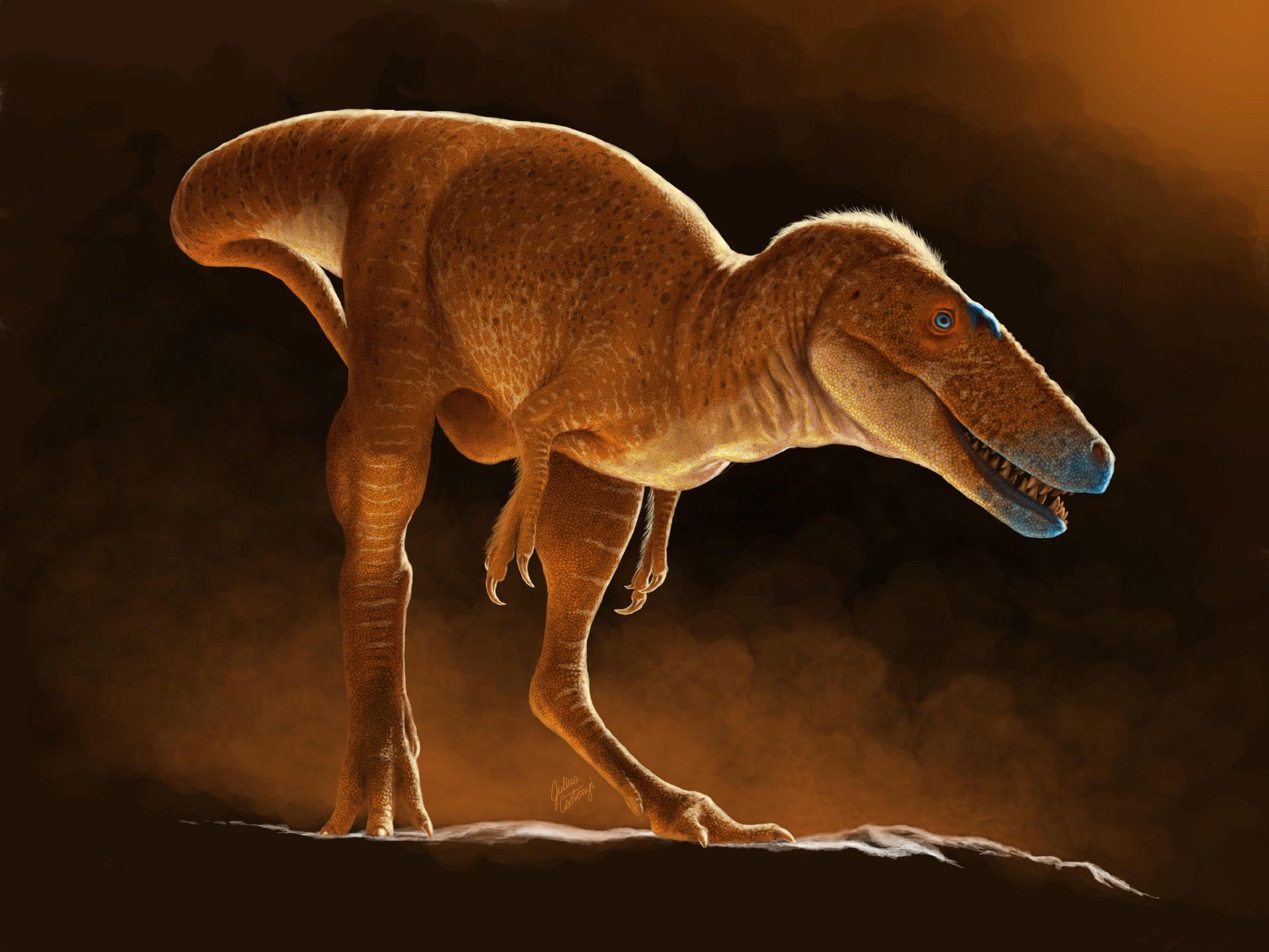 Khankhuuluu mongoliensis był dwa razy mniejszy od T.rexa
