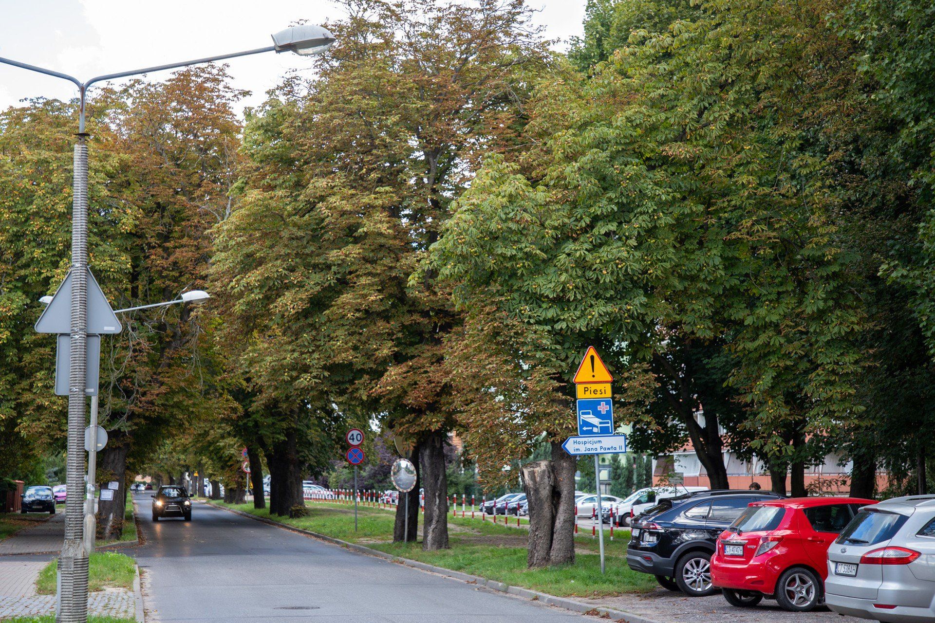 Mają one mniej więcej sto lat.