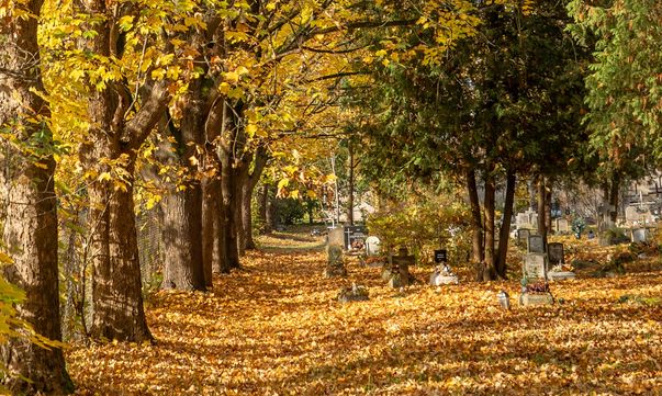 Cmentarz przy al. Powst. Wlkp. w Pile, dawny, stary, Piła