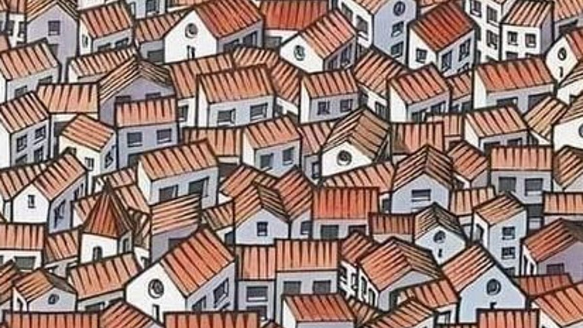 Gdzie ukrył się kot? Nieliczni dają radę w 15 sekund