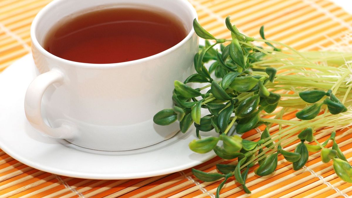 Zioła to doskonały sposób na pozbycie się nadmiaru wody z ciała.