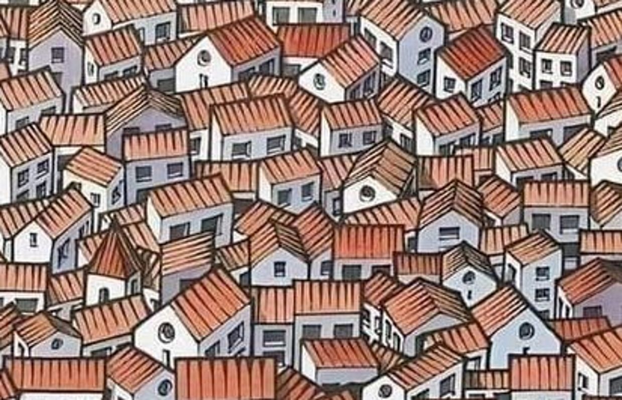 Jesteś spostrzegawczy? Mistrzowie znajdują kota w 15 sekund