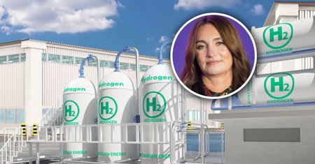 Spółka Dominiki Kulczyk nie dostanie wsparcia. Zapadła decyzja: wycofujemy się