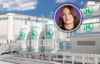 Spółka Dominiki Kulczyk nie dostanie wsparcia. Zapadła decyzja: wycofujemy się