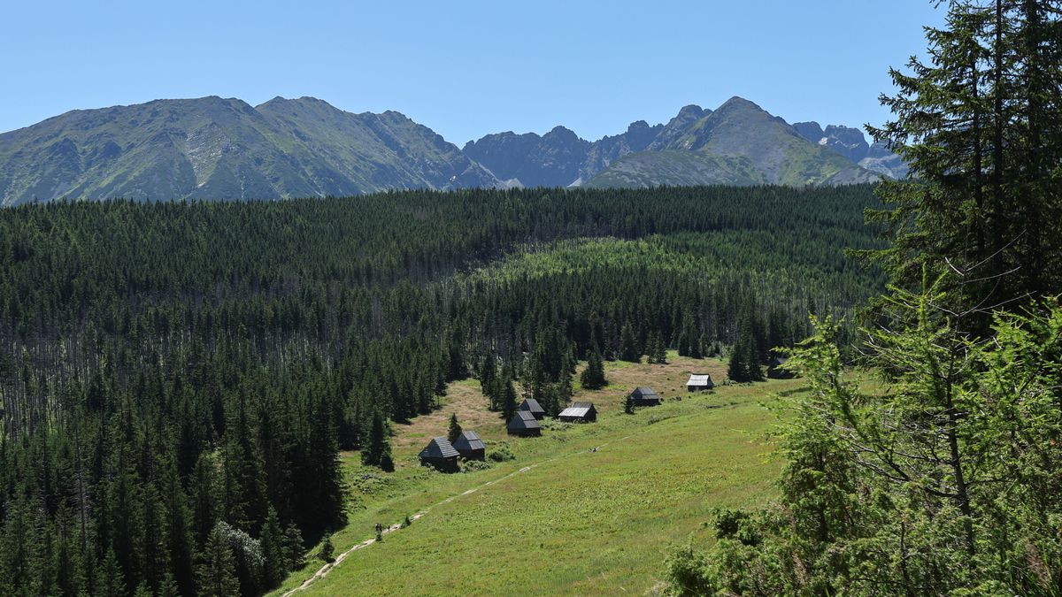 Wypadek w Tatrach. Ze stumetrowej skały spadł mężczyzna