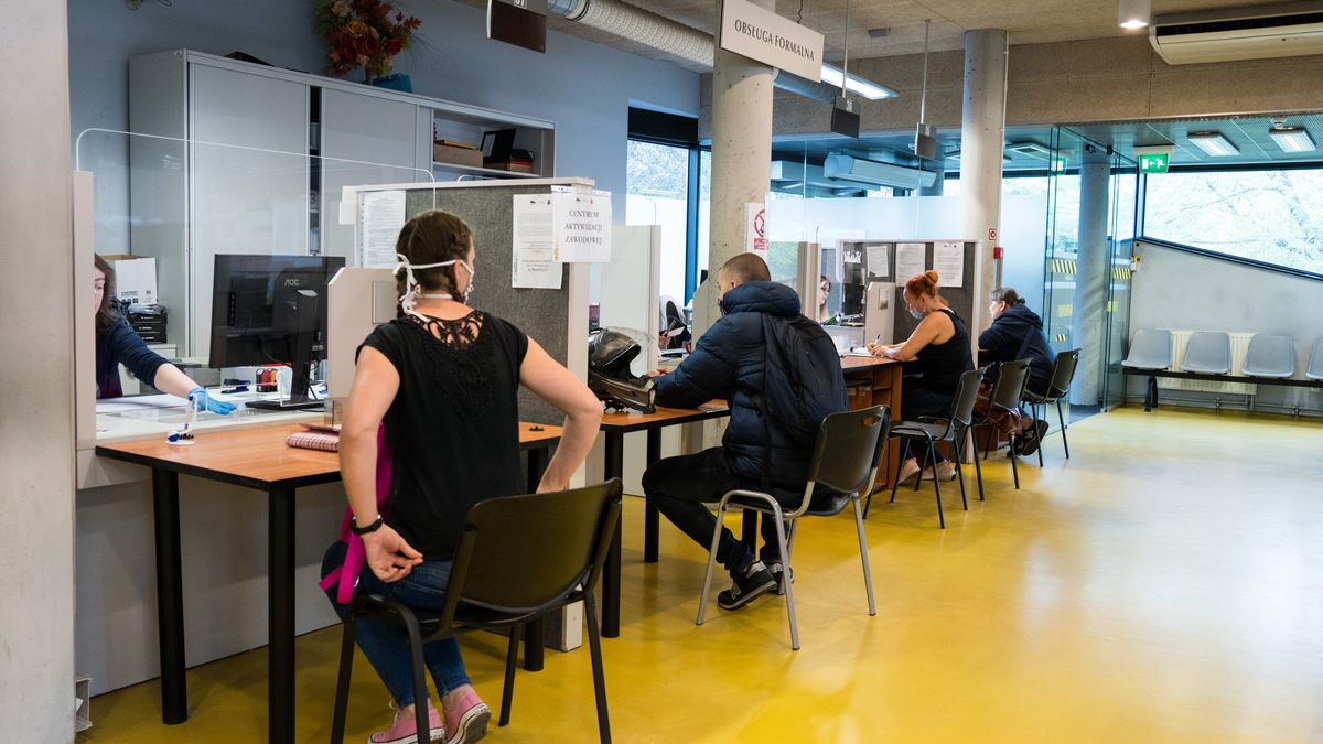 Rynek pracy w Polsce trzyma się bardzo dobrze.