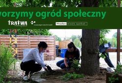 Wrocław. Ogrodowa ”Czasoprzestrzeń”. Doglądaj rośliny, zmęcz się, odpocznij