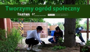 Wrocław. Ogrodowa ”Czasoprzestrzeń”. Doglądaj rośliny, zmęcz się, odpocznij