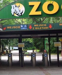 Groźny wirus w poznańskim zoo. Zamkną ogród?