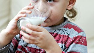 Michów: Przeterminowane mleko w szkole? Dyrektorka: nie zamiatam żadnej sprawy pod dywan