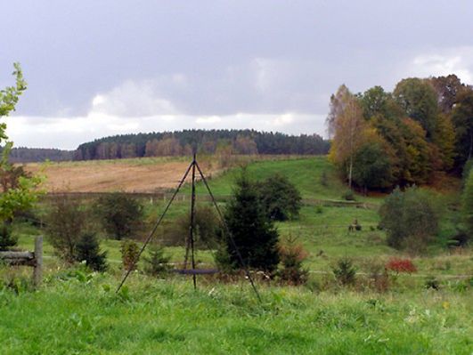 Obraz
