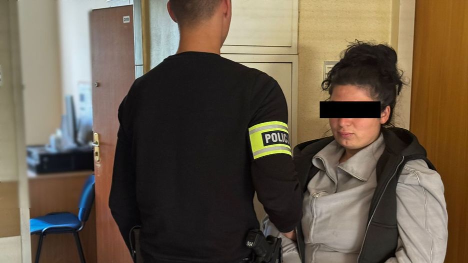 Fot. Licencjodawca