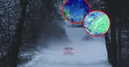 Śnieżny front dotarł do Polski. Trudne warunki, sypnęło nawet 20 cm