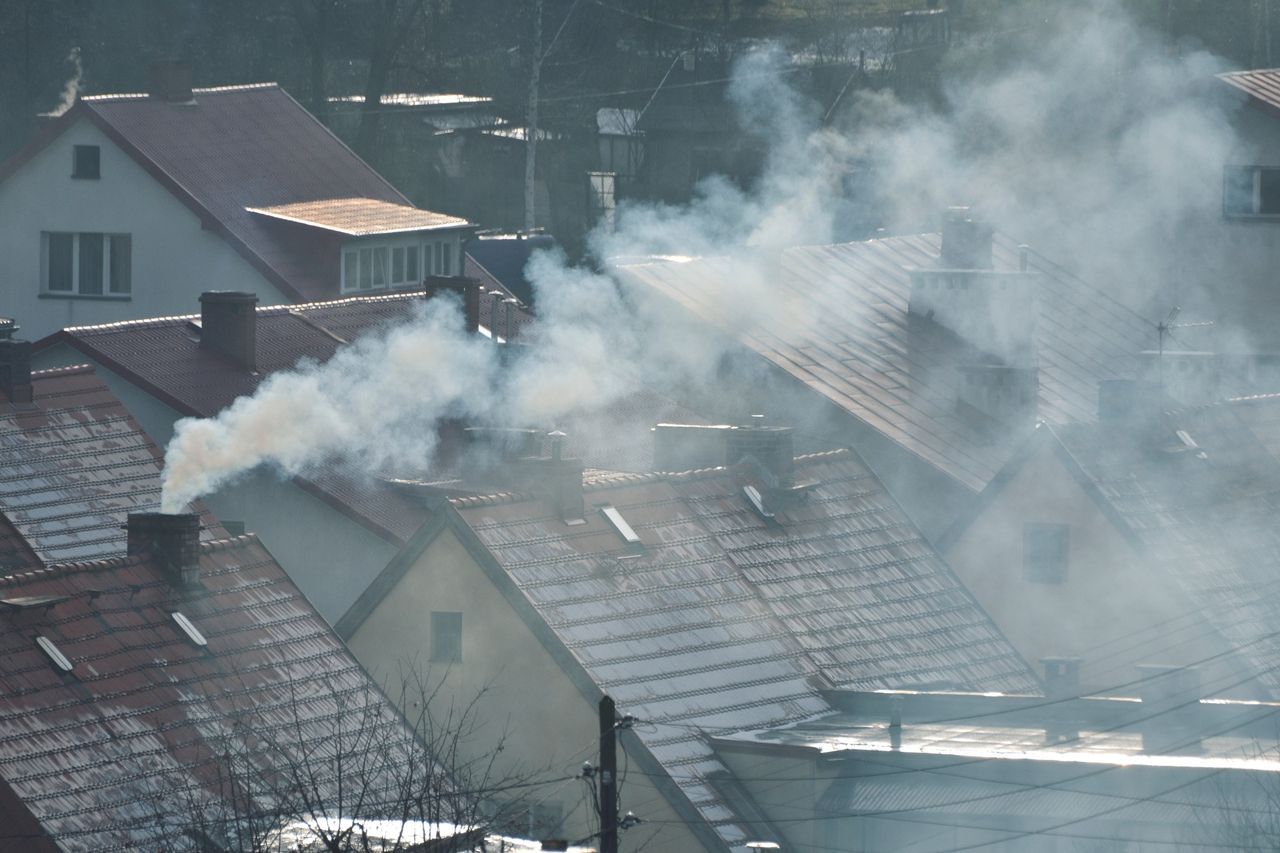 Najlepsze drewno do kominka. Daje najwięcej ciepła, nie kopci i obniża rachunki