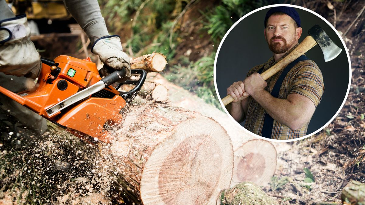 Mężczyzna z siekierą, cięcie drewna piłą motorową