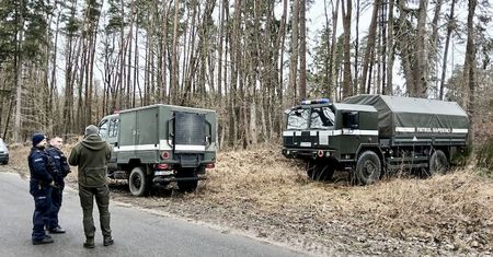 Dziki odkopały arsenał z II wojny światowej! Saperzy musieli interweniować