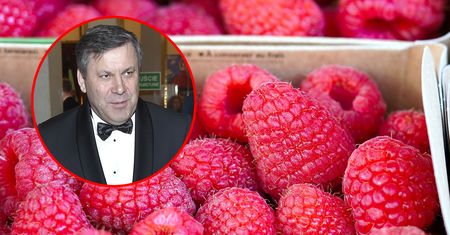 Polacy nie kupują malin. "Od 20 lat nie pamiętam tak niskiej ceny"