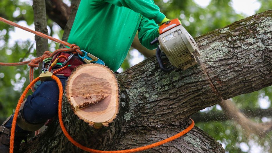 Zdjęcie ilustracyjne. Depositphotos