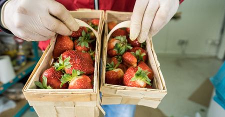 Dlaczego czereśnie i truskawki są w tym roku tak drogie? Ekspert odpowiada
