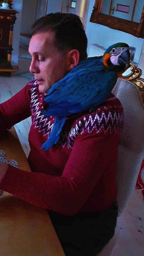 Tak mieszka Bogdan Trojanek