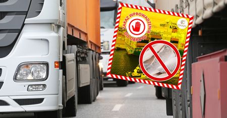 Tony ryb nie wjechały do Polski. Jedna rzecz zaniepokoiła służby