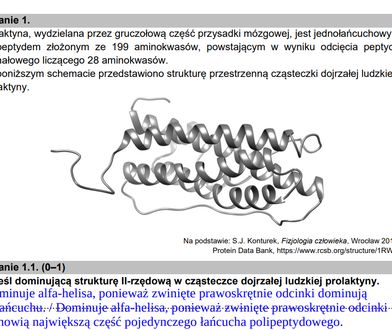 Matura 2021. Biologia rozszerzona. Mamy arkusze i odpowiedzi. Zobacz, jak ci poszło