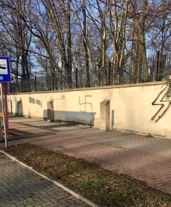 Oświęcim. Nazistowskie symbole na murze cmentarza żydowskiego