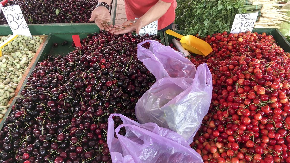 Reporter baza 2020-06-a
29.06.2018 Lodz. Rynek Barlicki. N/z kramiki z owocami i warzywami. czeresnie, pietruszka. Fot. Piotr Kamionka/REPORTER
Piotr Kamionka/REPORTER
