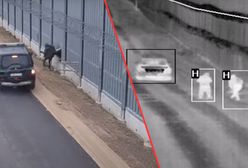 Nielegalni migranci forsują granicę. 100 prób przekroczenia w ciągu doby