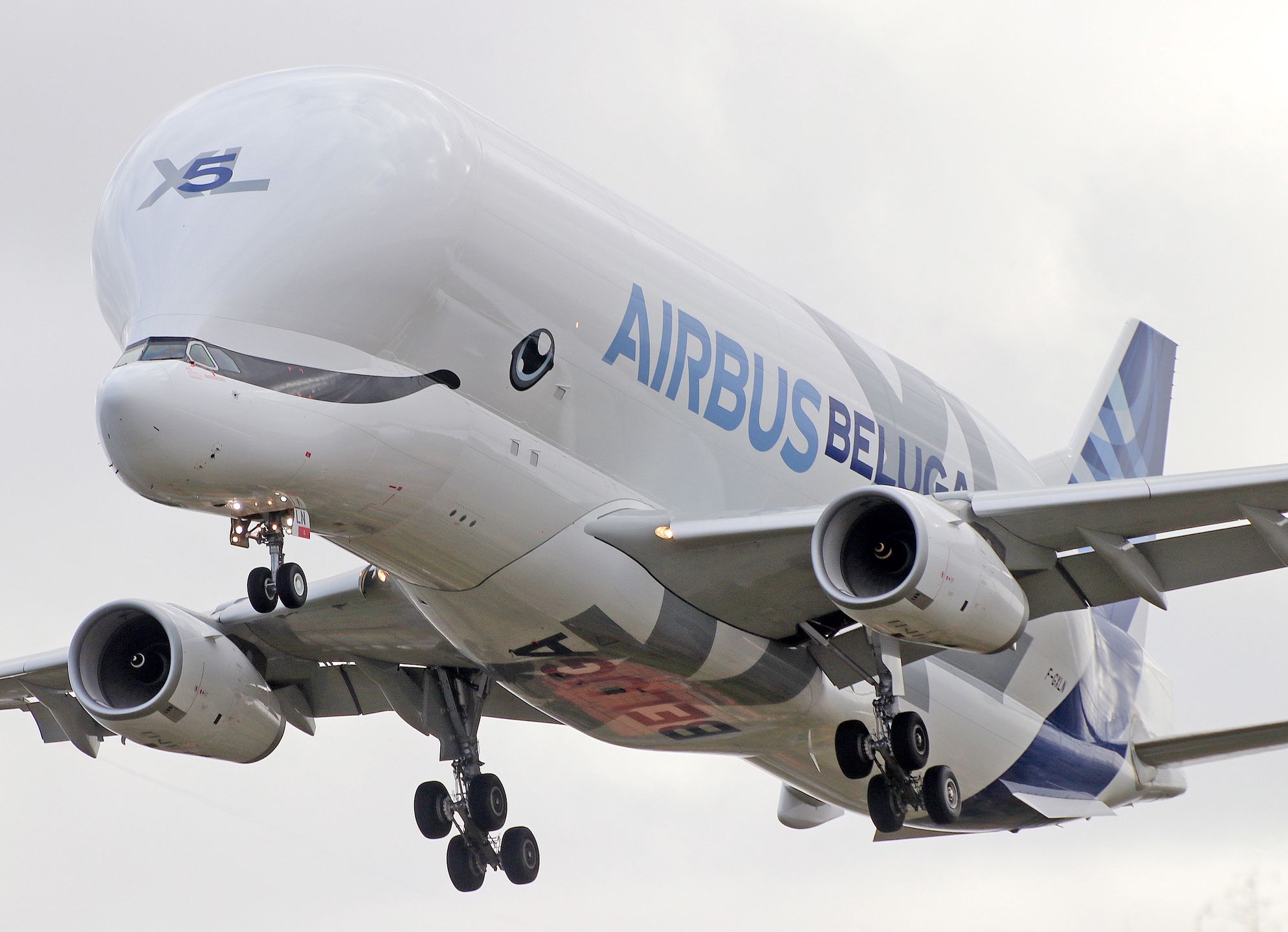 TIANJIN, CHINA - OCTOBER 10: An Airbus Beluga (BelugaXL) freighter, world's strangest-looking airplane and one of the world's largest cargo planes, arrives at Tianjin Binhai International Airport on October 10, 2024 in Tianjin, China. This is Super Beluga's first-ever landing in China and its first mission outside Europe. (Photo by VCG/VCG via Getty Images)