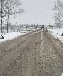 Opady śniegu paraliżują Polskę. Samochody w rowach, powalone drzewa