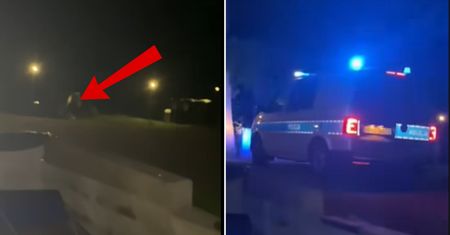 Strach w Zakopanem. "Przestały reagować"