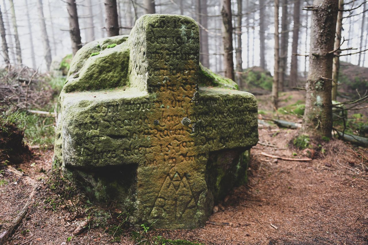 Krzyż Marty Gorgi to jeden z najciekawszych krzyży pokutnych, umiejscowiony na obszarze Gór Stołowych, niedaleko Urwiska Batorowskiego